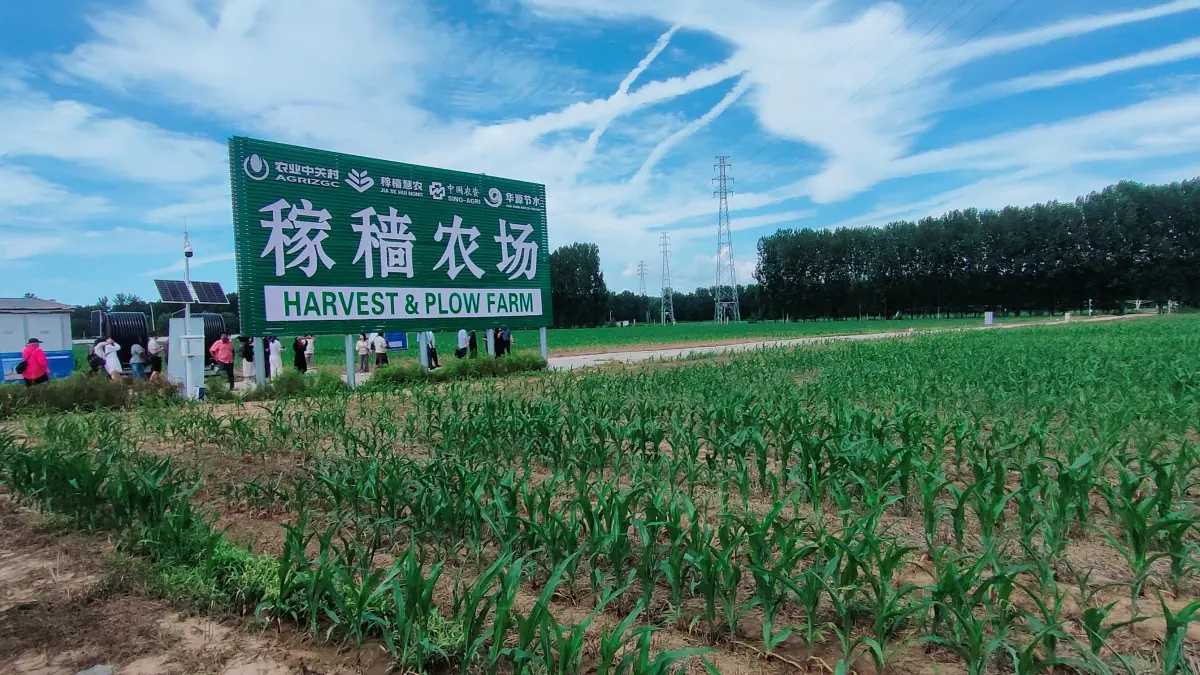 TEKNOLOGI PERTANIAN: Suasana di Jiase Farm, lahan pertanian modern yang terletak di Distrik Pinggu, Beijing, Tiongkok. (Eka Prasetya/Radar Buleleng)
