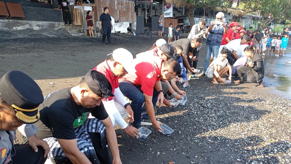 LEPAS TUKIK: Pelepasliaran tukik yang dilakukan di Pantai Camplung, Buleleng. (Francelino Junior/Radar Buleleng)