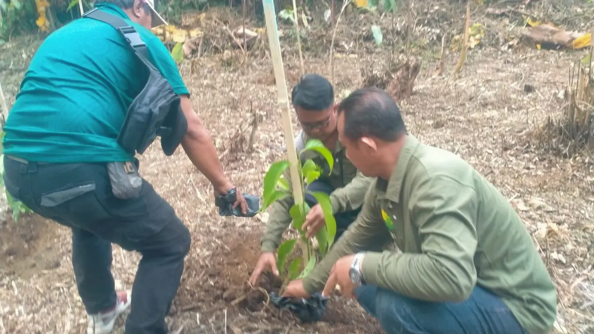 TANAM POHON: Warga melakukan penanaman pohon di kawasan Hutan Batukaru. (Juliadi/Radar Bali)