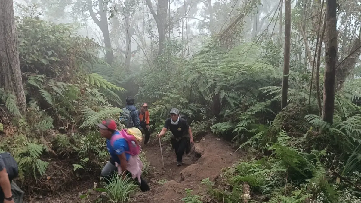 PENYISIRAN: Tim SAR Gabungan melakukan penyisiran mencari pendaki yang tersesat di Gunung Agung. (Kantor SAR Denpasar)