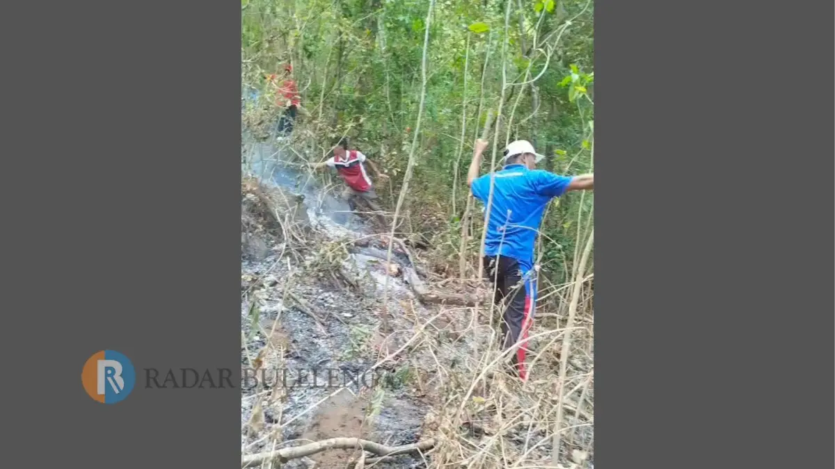 PADAMKAN API: Tim gabungan memadamkan api di Bukit Mendaum, Tejakula. (Kecamatan Tejakula)