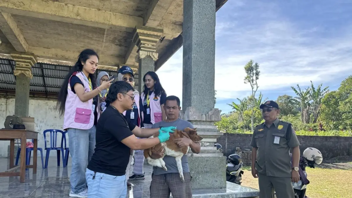 VAKSINASI: Program vaksinasi hewan di Desa Gobleg, Buleleng. (Pemdes Gobleg)