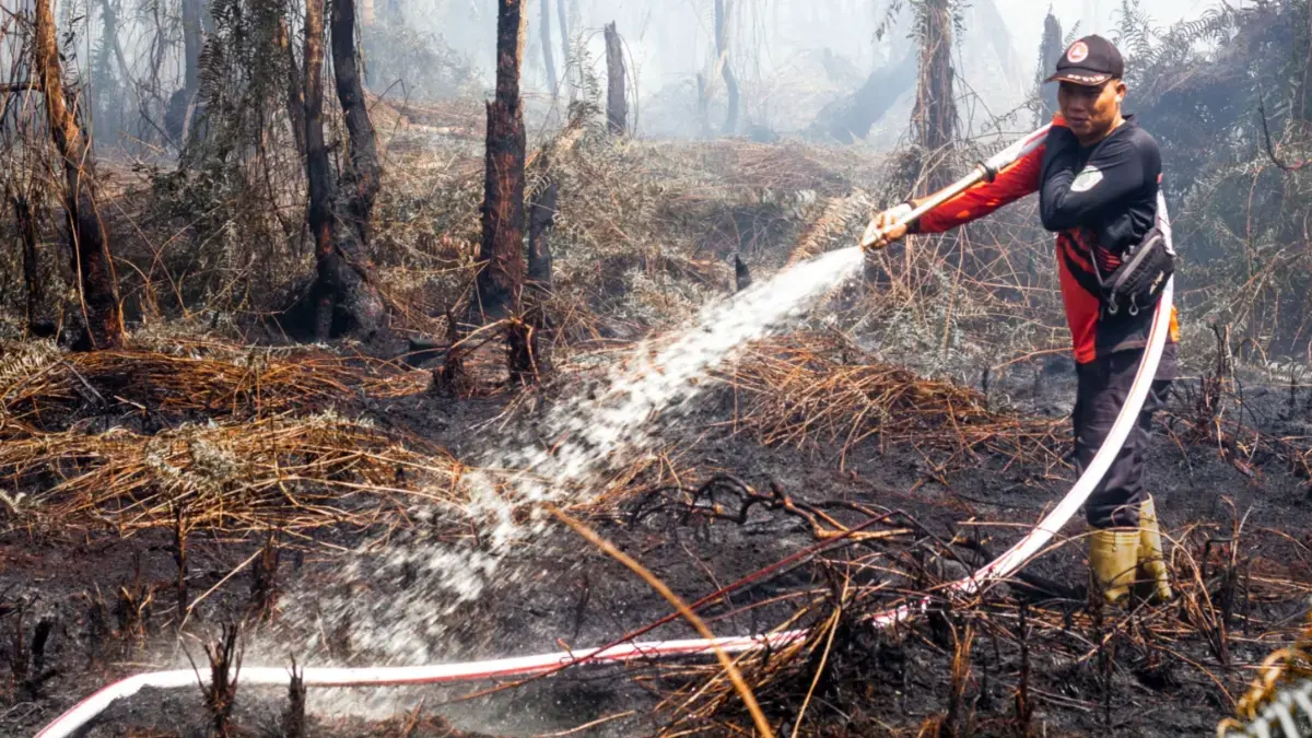 KARHUTLA: Petugas memadamkan api yang membakar kawasan hutan di Kalimantan Tengah. (Kalteng Pos)