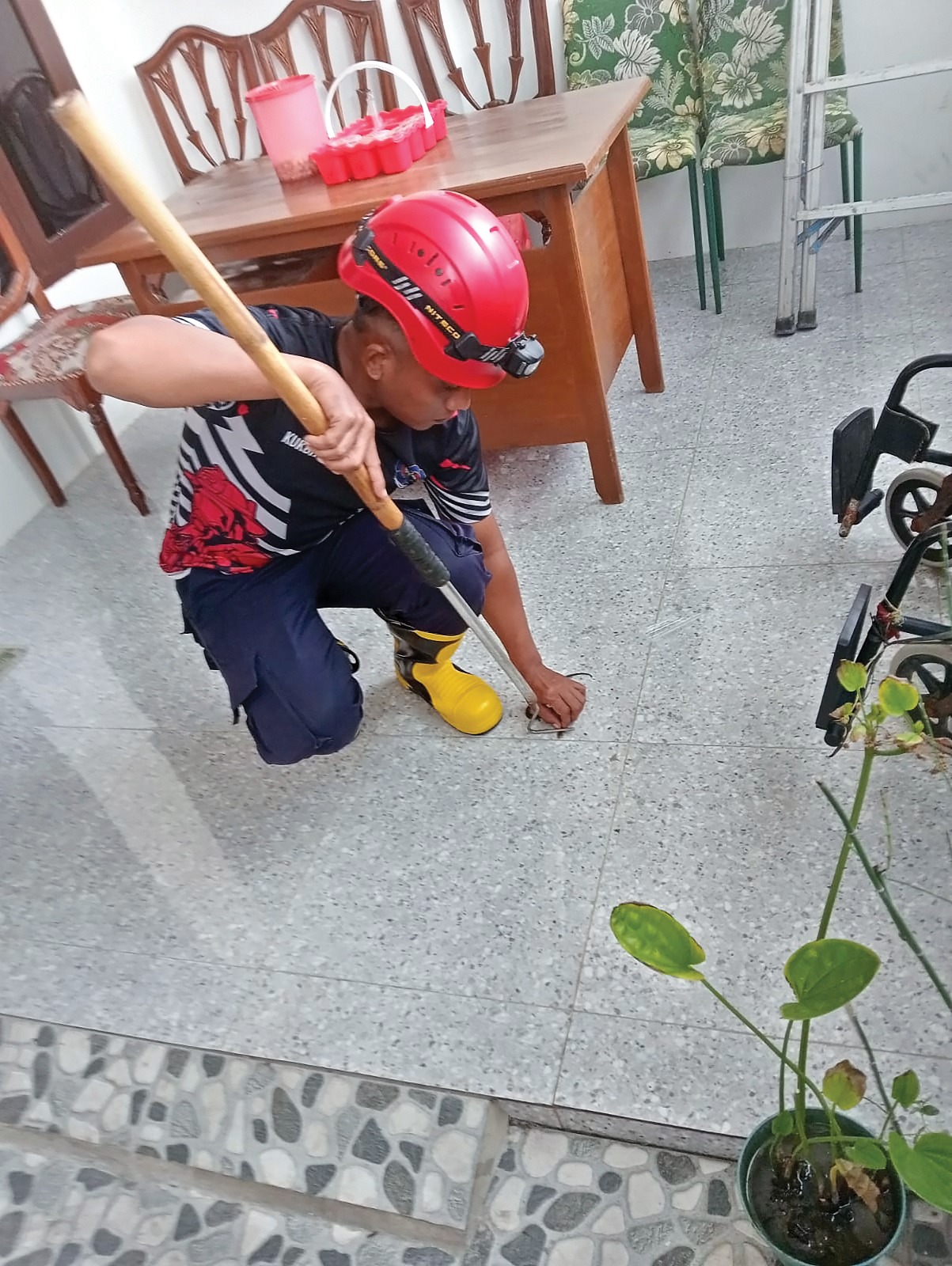 SIGAP: Petugas damkarmat menangkap anak ular kobra di teras rumah Lilik Setyowati, warga Mangundikaran.
