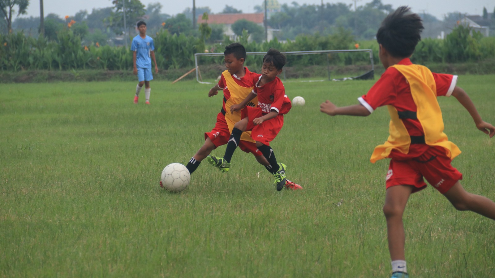 Pemain Sekolah Sepak Bola (SSB) Merpati Putra berlatih setiap hari untuk menjadi pemain Timnas Indonesia.