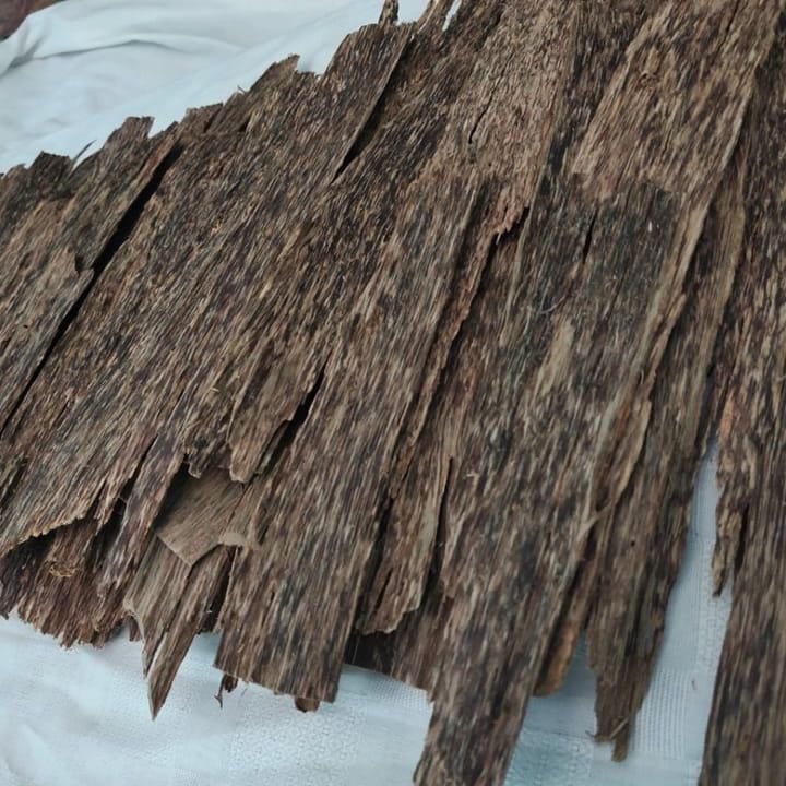 Kayu Gaharu