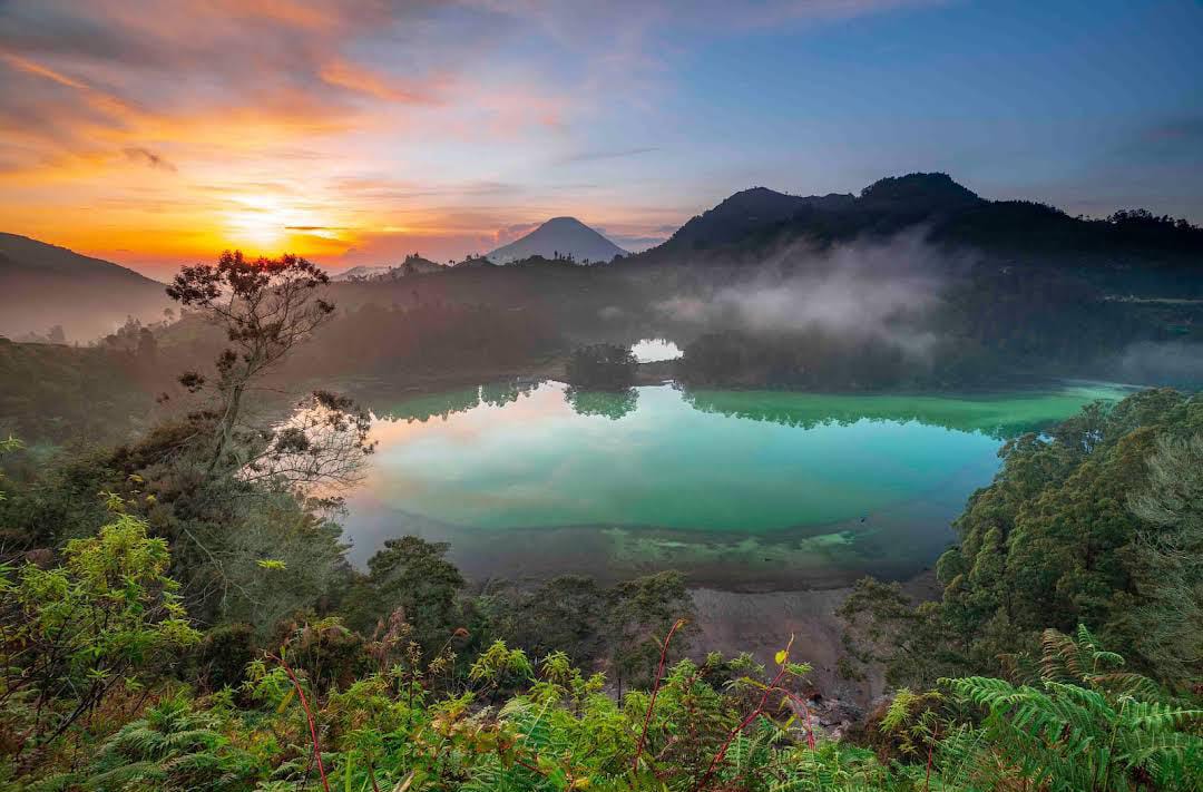 Misteri Makhluk Penjaga Hutan Keramat Telaga Warna Berbentuk Kerbau Bertanduk Besar di Dataran Tinggi Dieng