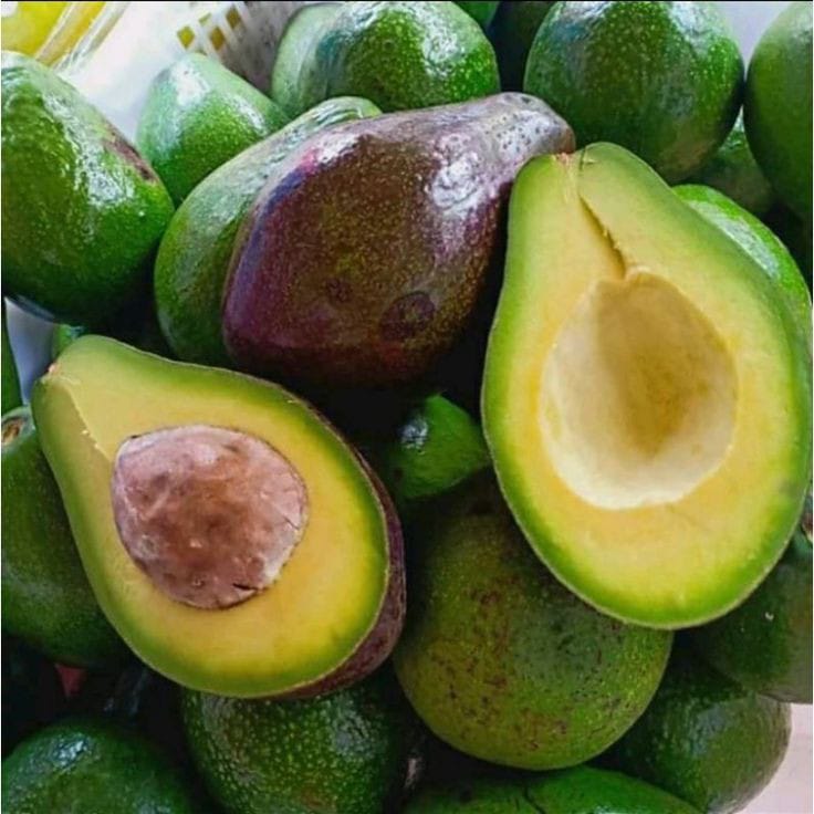 Buah alpukat telah lama dikenal sebagai salah satu buah paling bergizi di dunia.  Dijuluki