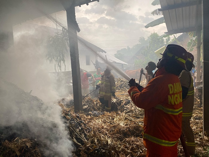 Petugas damkarmat memeadamka api yang melalap kandang sapi milik Suwadi warga Kecubung.