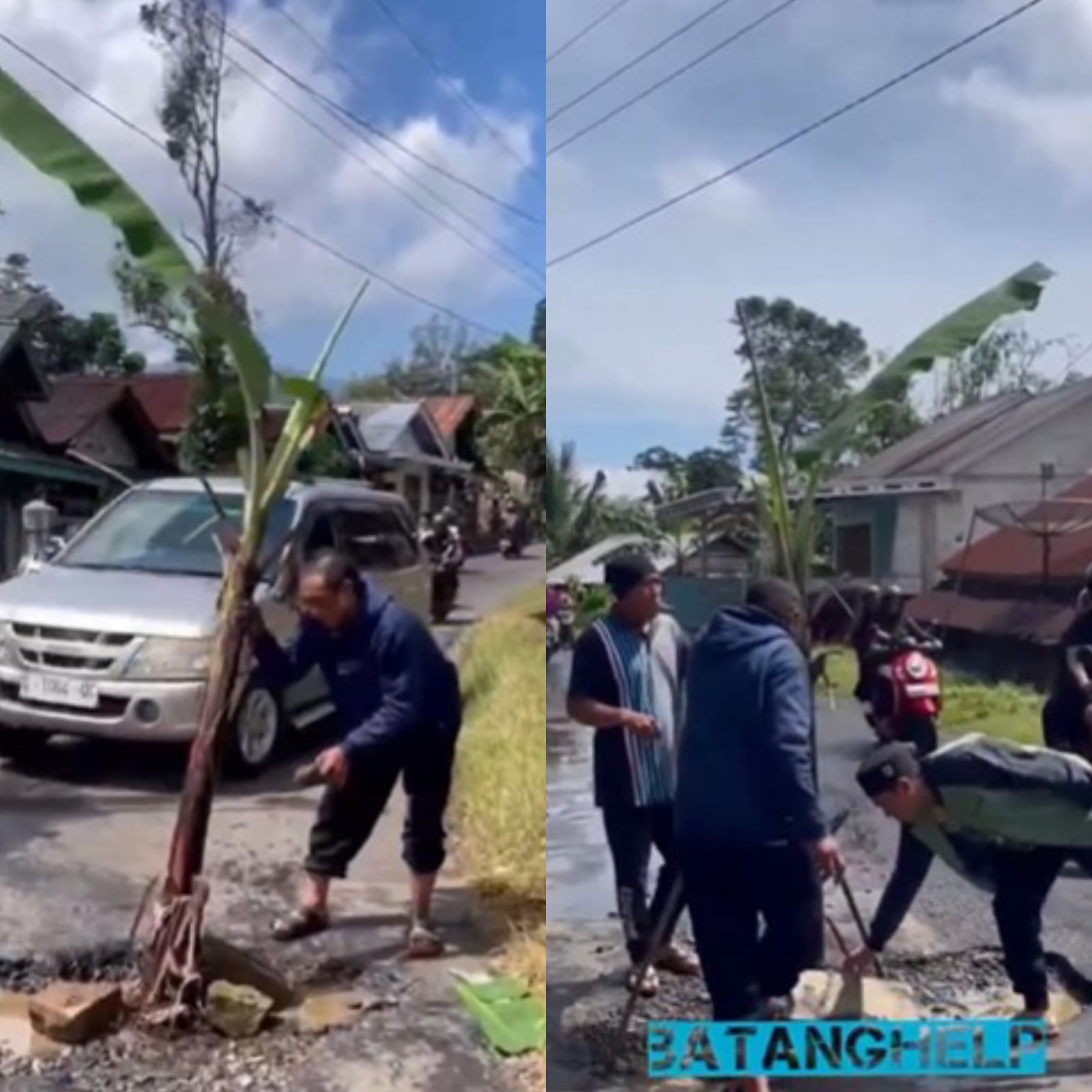 Kecewa, Warga di Batang Tanam Pohon Pisang di Jalanan yang Lubang, Setelah Rusak Lagi