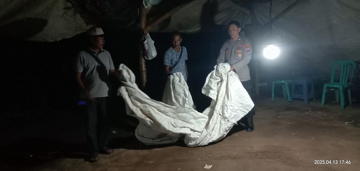 Bocor Lagi, Arena Sabung Ayam di Nganjuk Sepi saat mau Disidak Polisi