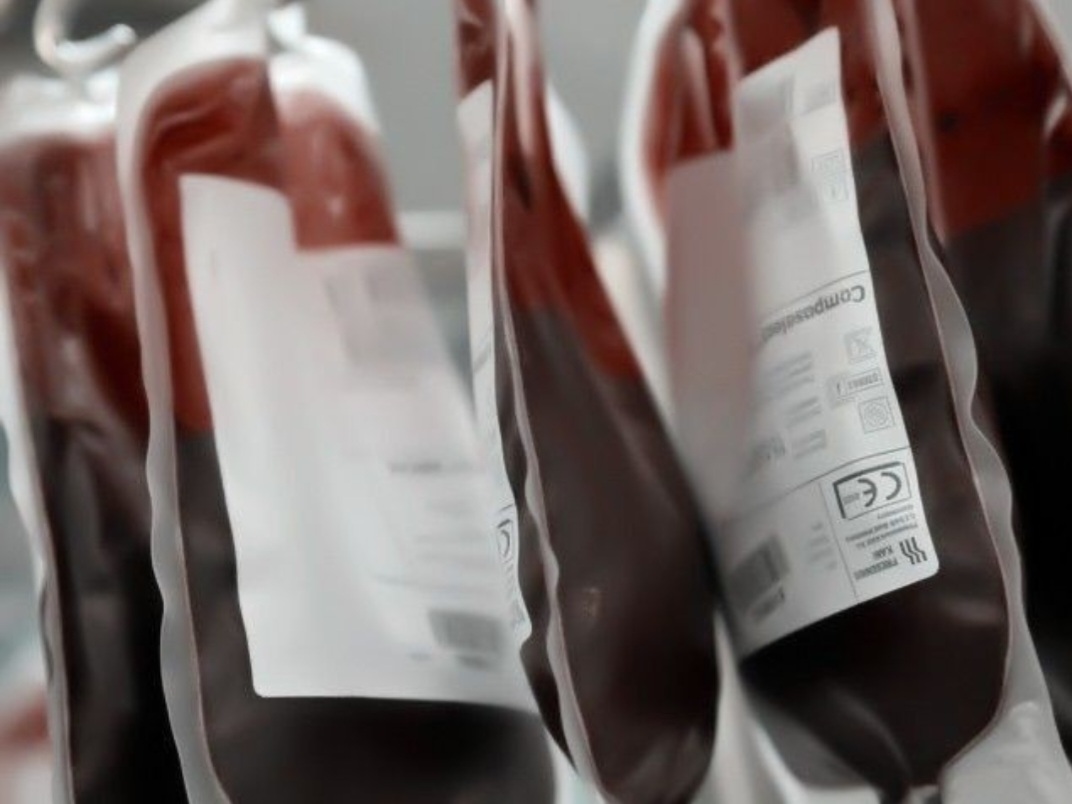 Peringatan Hari Hemofilia Sedunia 17 April: Jejak Sejarah dan Maknanya