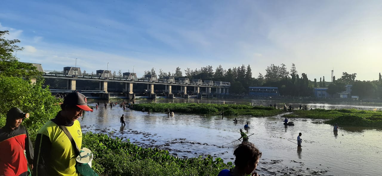 Kapan Pladu 2025 Dilaksanakan?, Berikut Keterangan Pelaksanaannya, Catat Tanggalnya ya!