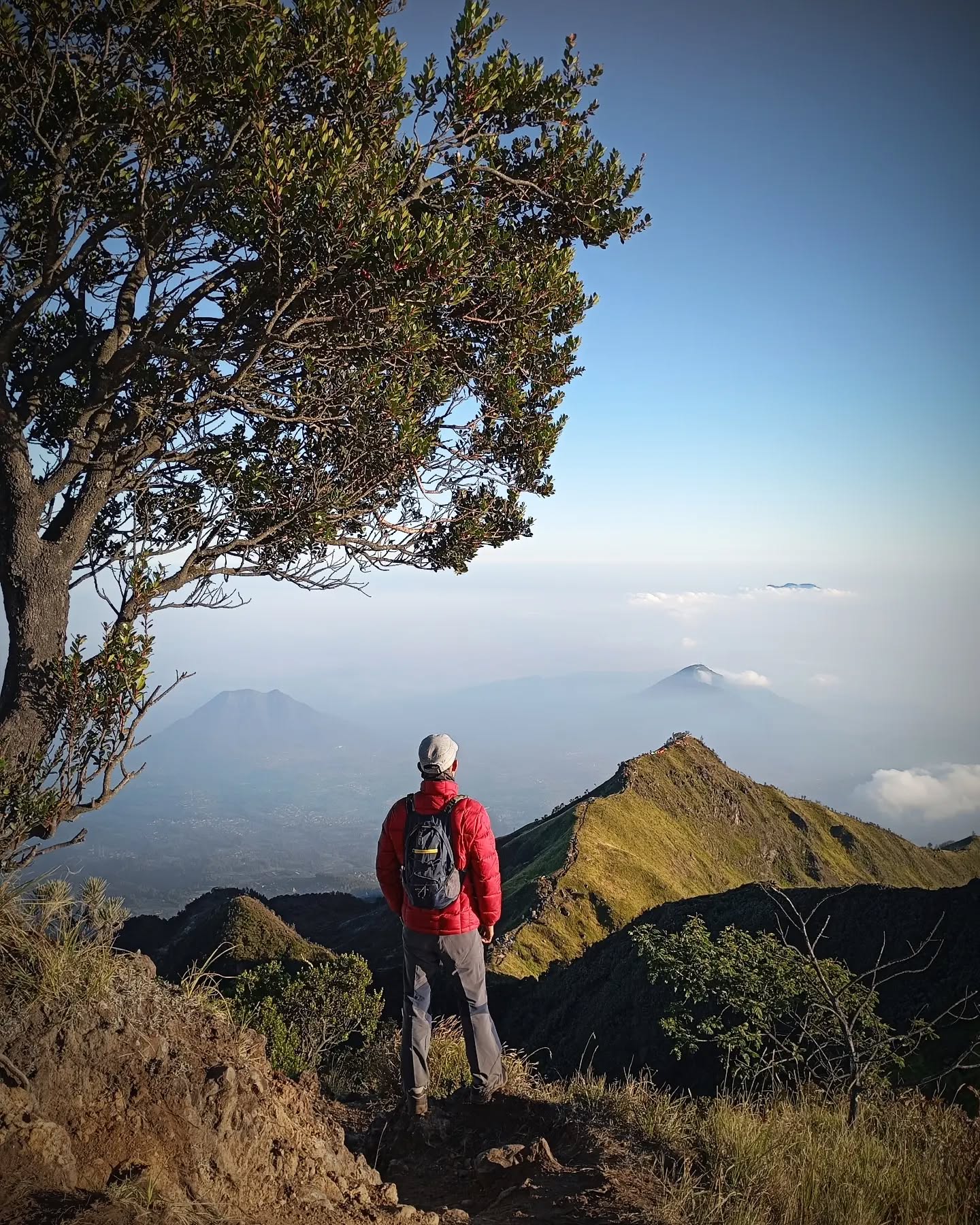 Berniat Merawat Situs Purbakala, Pendaki yang Merupakan ASN Dinkes Temanggu Dikabarkan Hilang di Merbabu