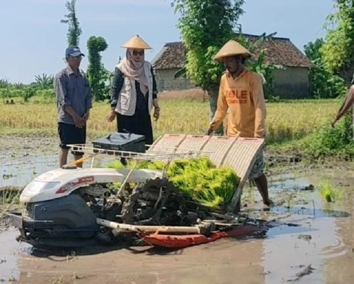 KARTINI MASA KINI: Plt Kepala Disperta Nganjuk Itsna Shofiani mengecek kondisi petani di sawah.