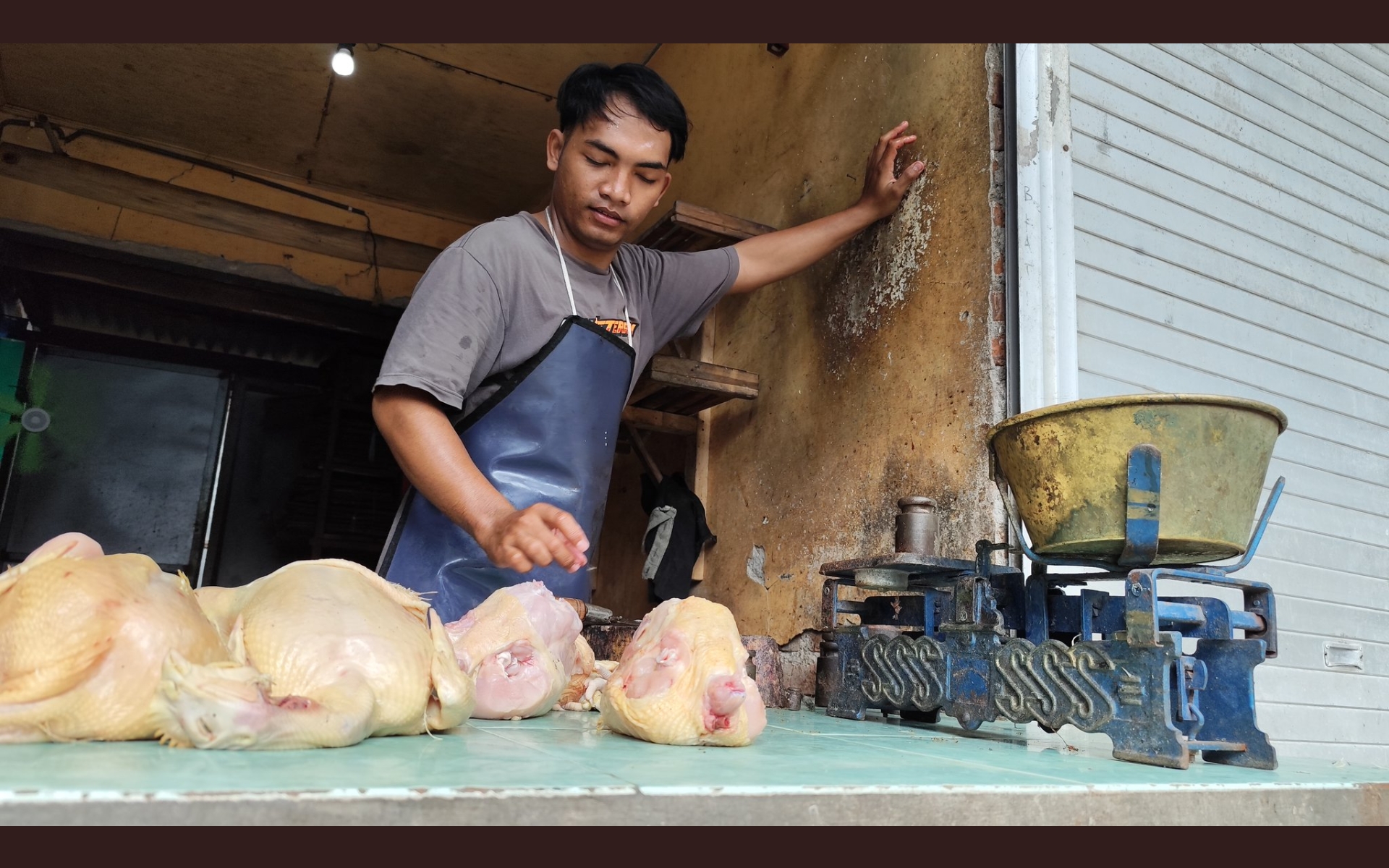 Jeritan Peternak Nganjuk Hadapi Harga Daging Ayam yang Terjun Bebas