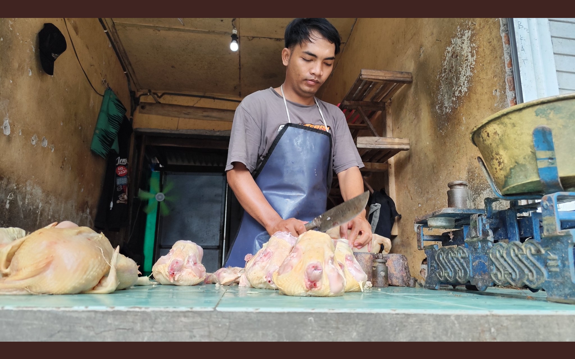 Peternak Nganjuk Keluhkan Harga Jual Ayam ke Pedagang Tak Tutup Biaya Produksi