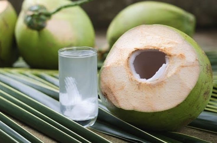 Benarkah Air Kelapa Efektif untuk Mengatasi Keracunan Makanan? Berikut Faktanya