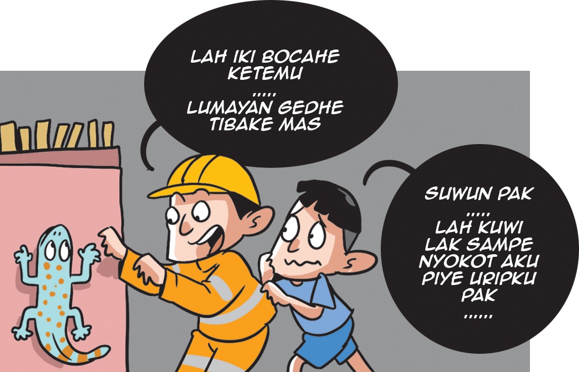 Tokek Bikin Boscu Menggigil&nbsp;