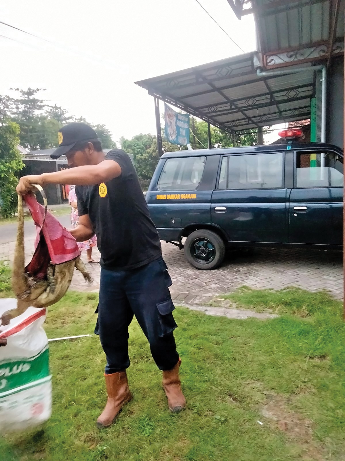 Biawak Bikin Panik Warga Baron