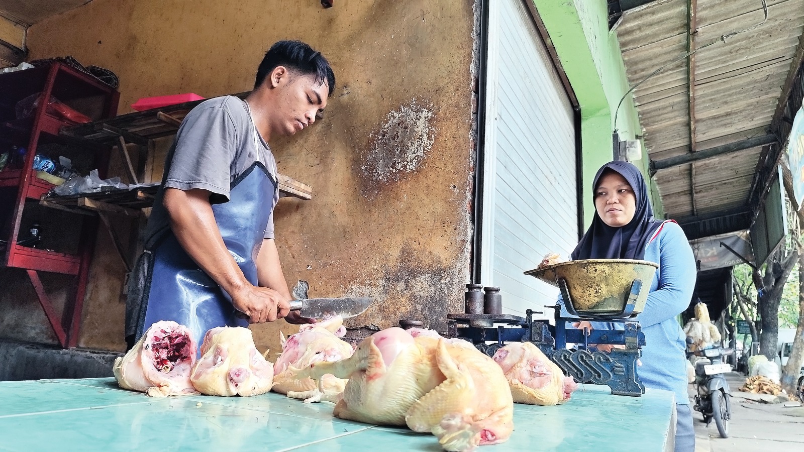 Harga Ayam Potong Tembus Rp 30 Ribu