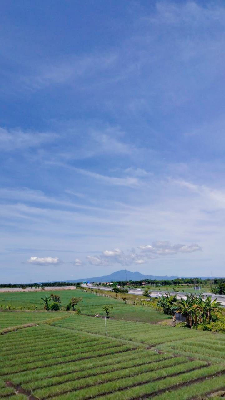 Prediksi Cuaca Nganjuk 9 Mei 2025, Dukung Petani Hadapi Puncak Panen