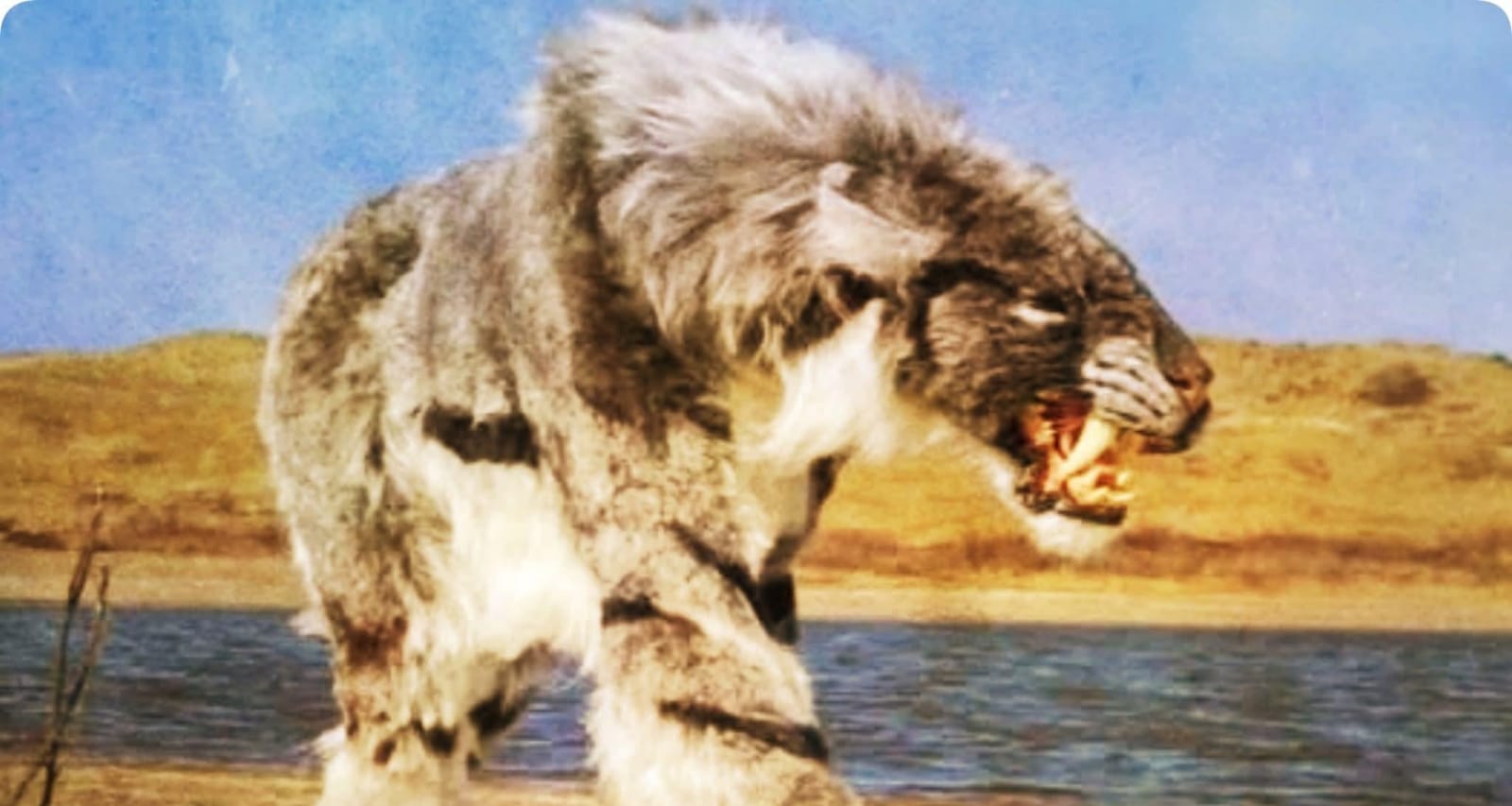 Misteri Homotherium, Si Pemburu Gigi Sabit dari Zaman Purba