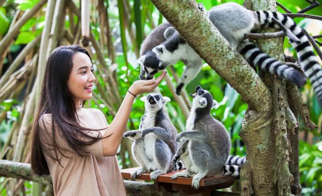 Rekomendasi Kebun Binatang di Jawa Timur (foto: enervon)
