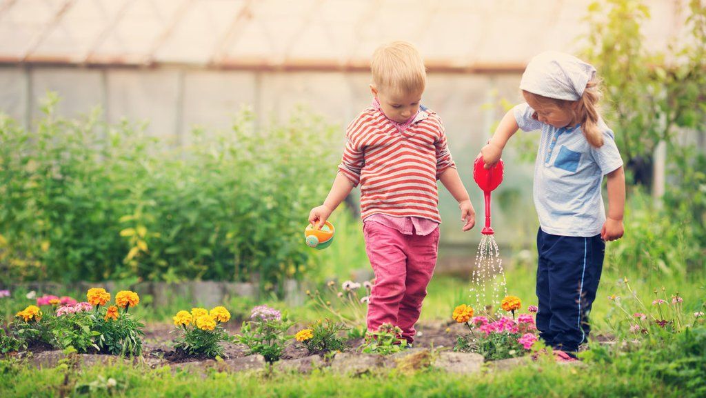 Berkebun, merupakan salah satu aktifitas mengurangi screen time pada anak.
