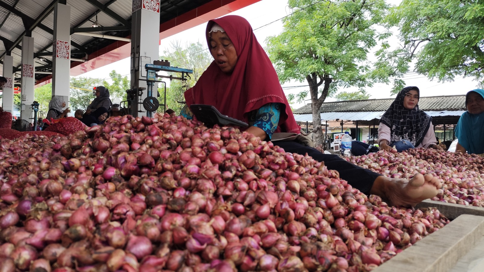 Brambang/bawang merah, komoditi andalan Kabupaten Nganjuk