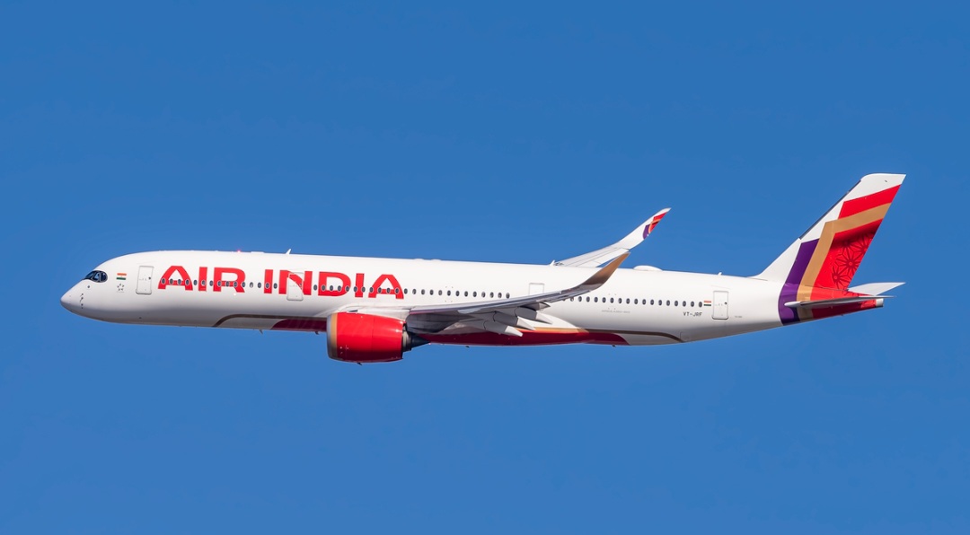 Pesawat Air India jatuh menewaskan 241 orang (foto: dokumentasi airindia)