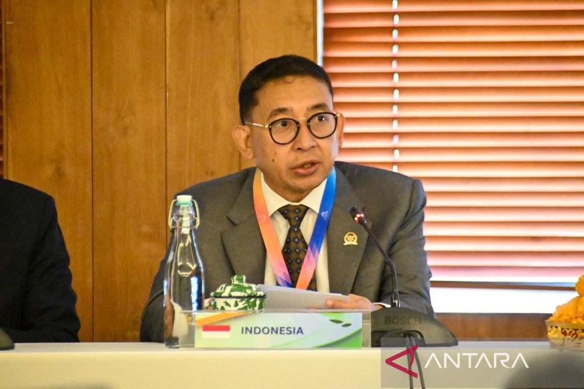 Fadli Zon berikan klarifikasi terkait tragedi 1998 (foto: Antara)