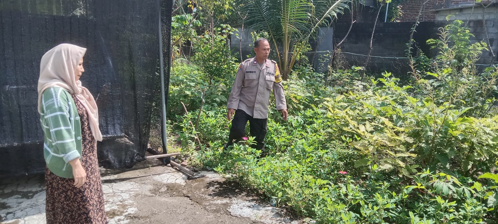 Pemanfaatan pekarangan untuk ketahanan pangan