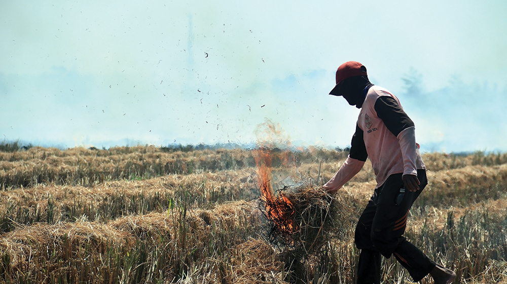 SIAP TANAM: Petani di Desa Sumengko, Kecamatan Sukomoro membakar lahan setelah panen padi. Mereka akan menanam padi di musim kemarau karena harga gabah saat ini melambung.
