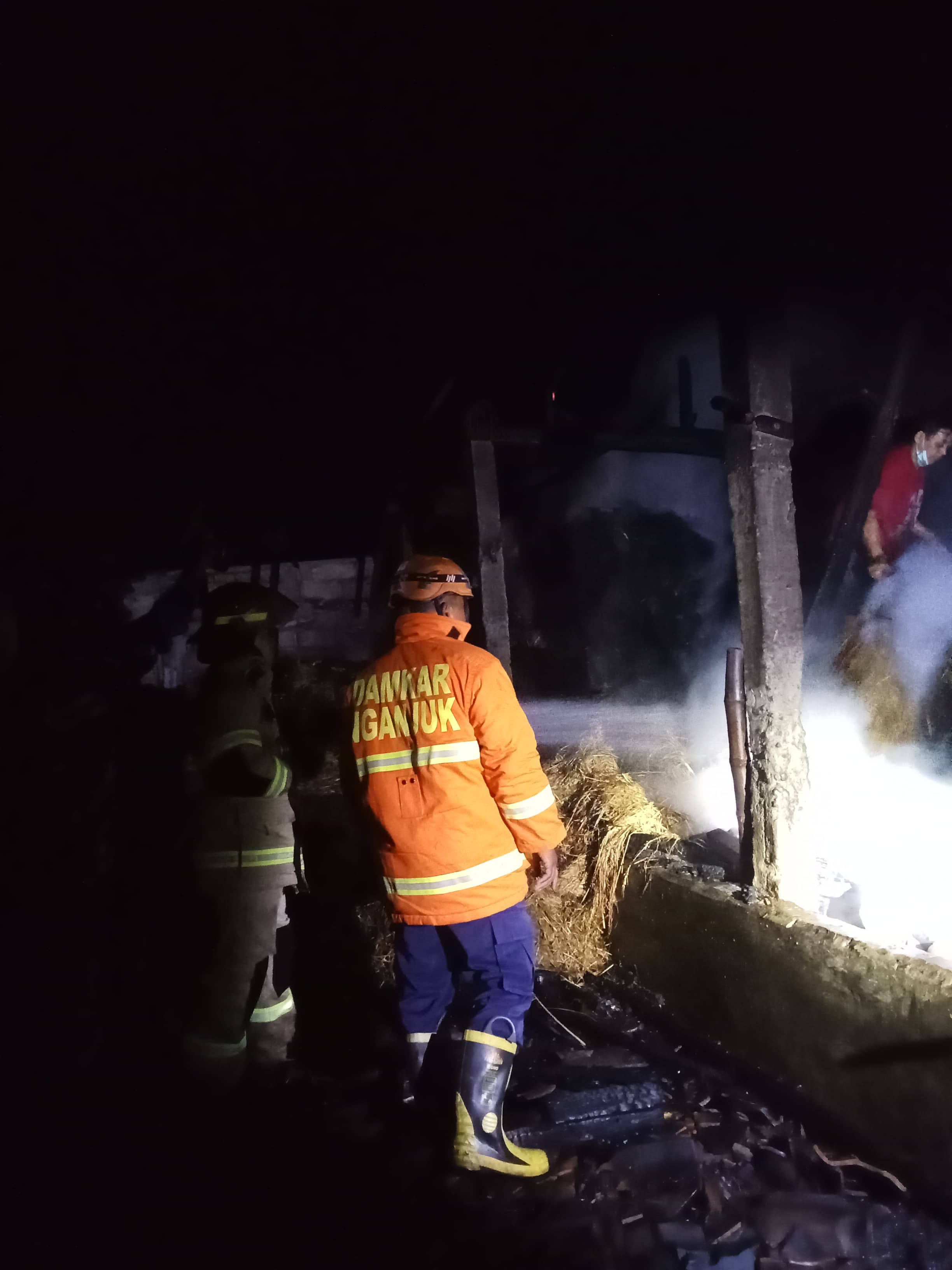 Kandang sapi di Kecamatan Pace terbakar.