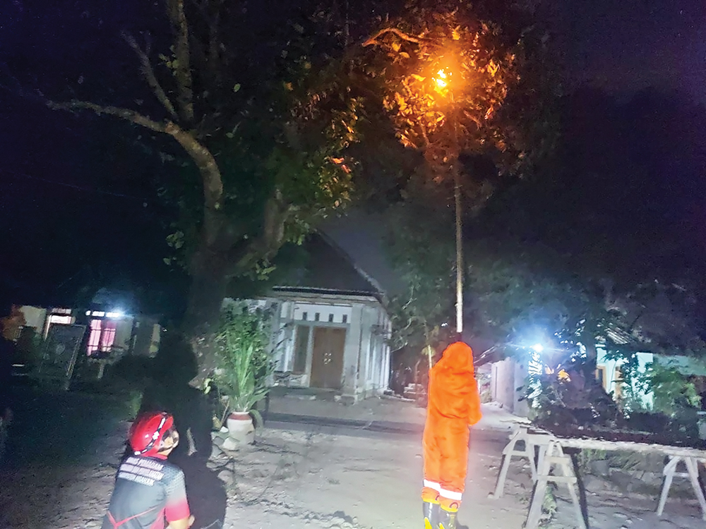 EVAKUASI: Petugas Damkarmat Nganjuk membakar sarang tawon yang meresahkan warga. Tiga sarang tawon dievakuasi, Rabu (30/7).