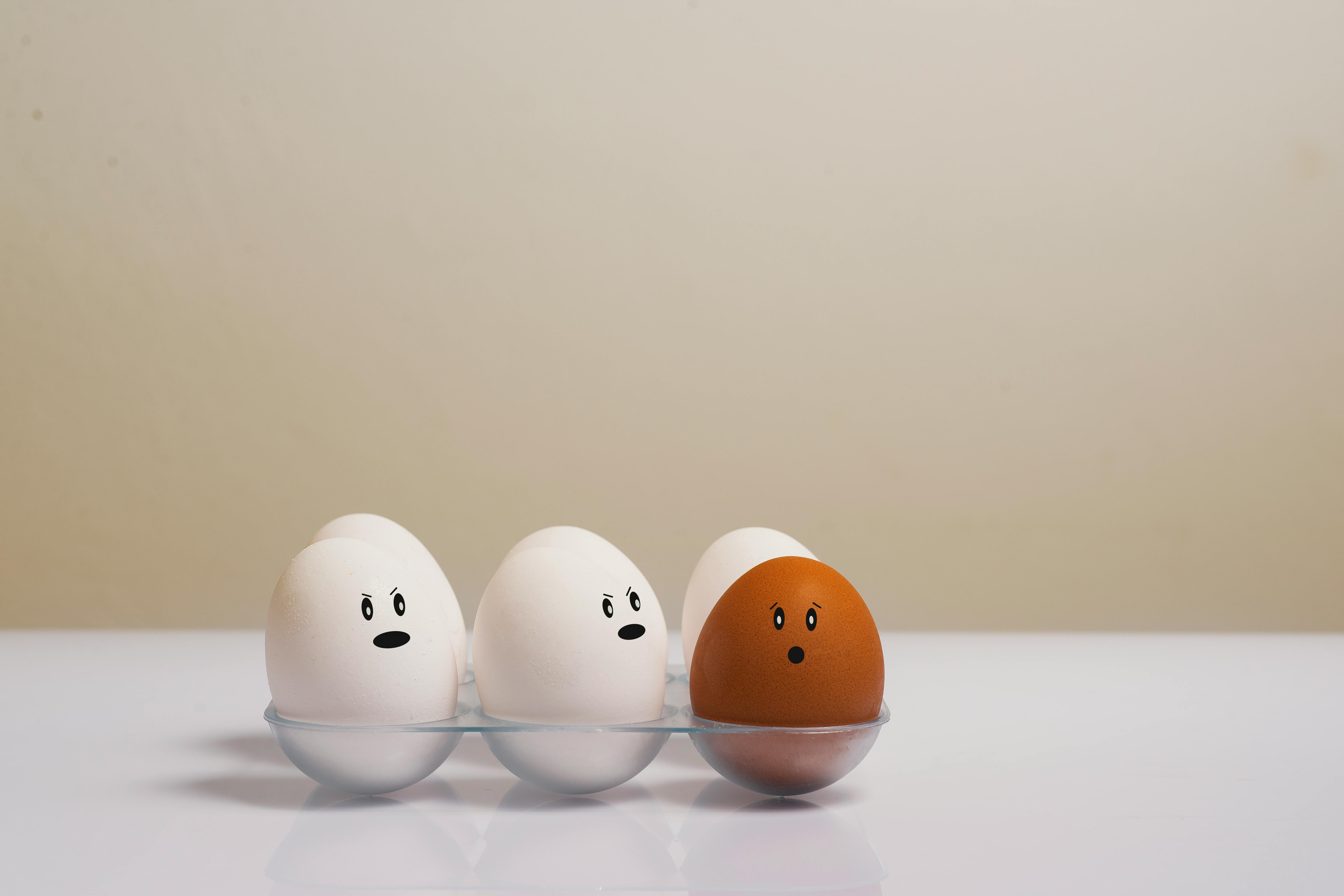 Ilustrasi Telur