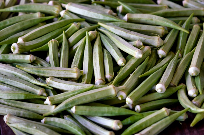 Ilustrasi Sayuran Okra
