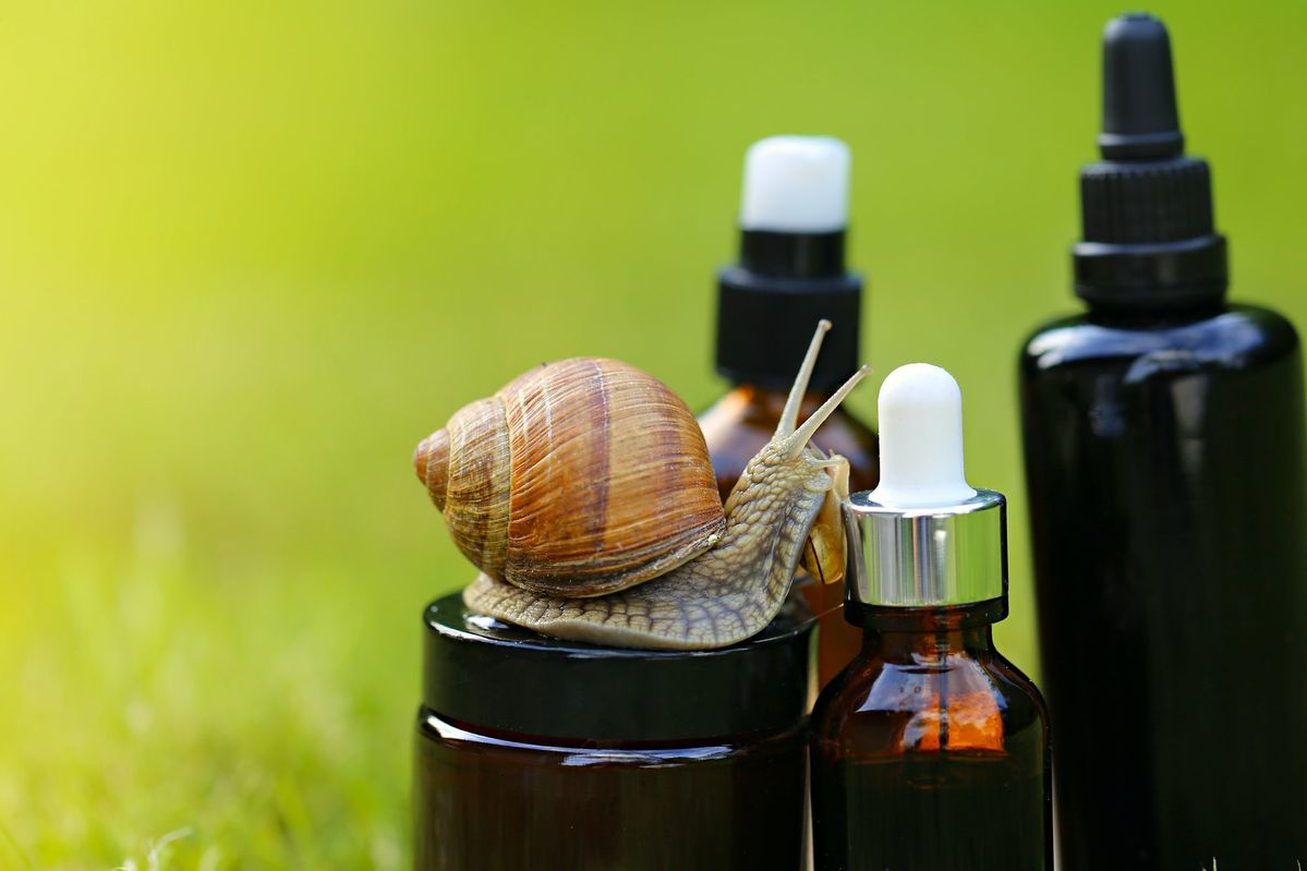 Ilustrasi Skincare Snail Mucin