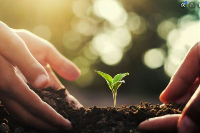 berkebun bisa redakan stres