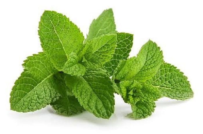 Daun Mint