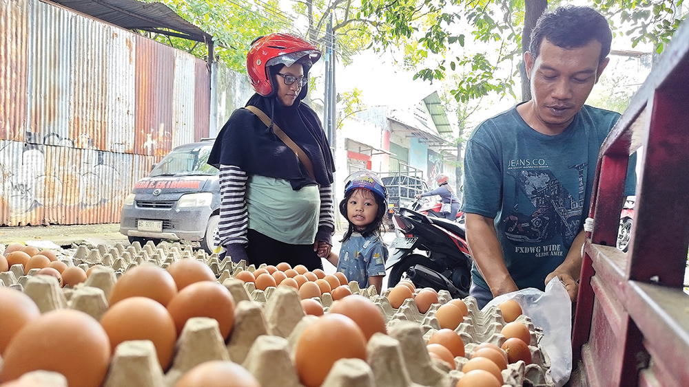 harga telur anjlok