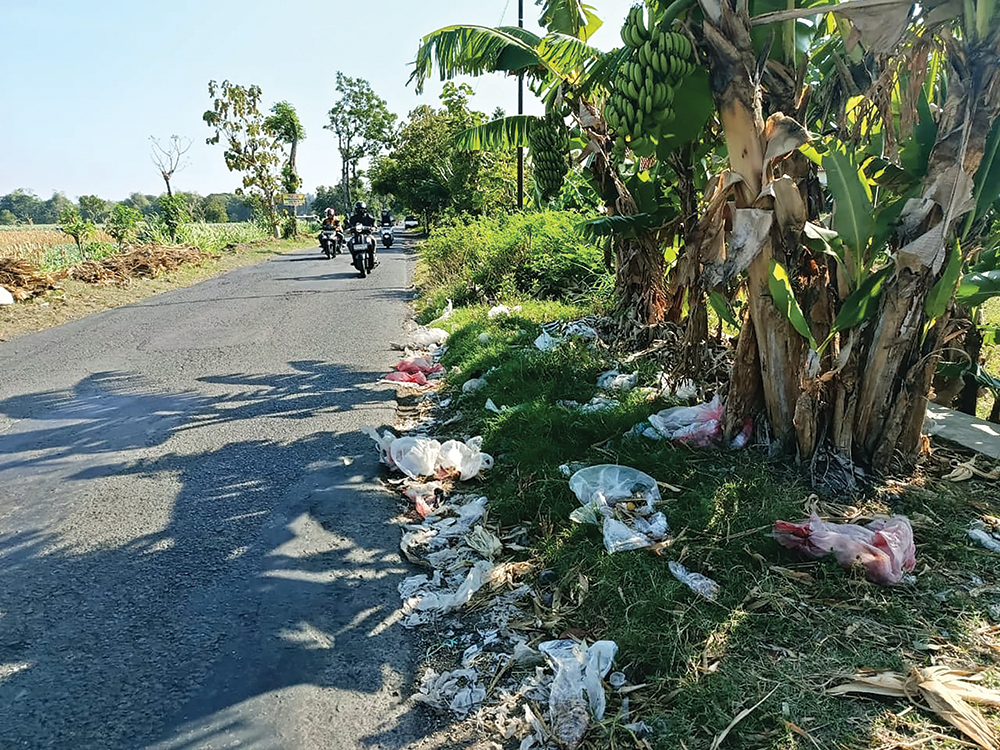BIKIN POLUSI: Warga membuang sampah di tepi Jalan Raya Sukomoro - Kecubung.
