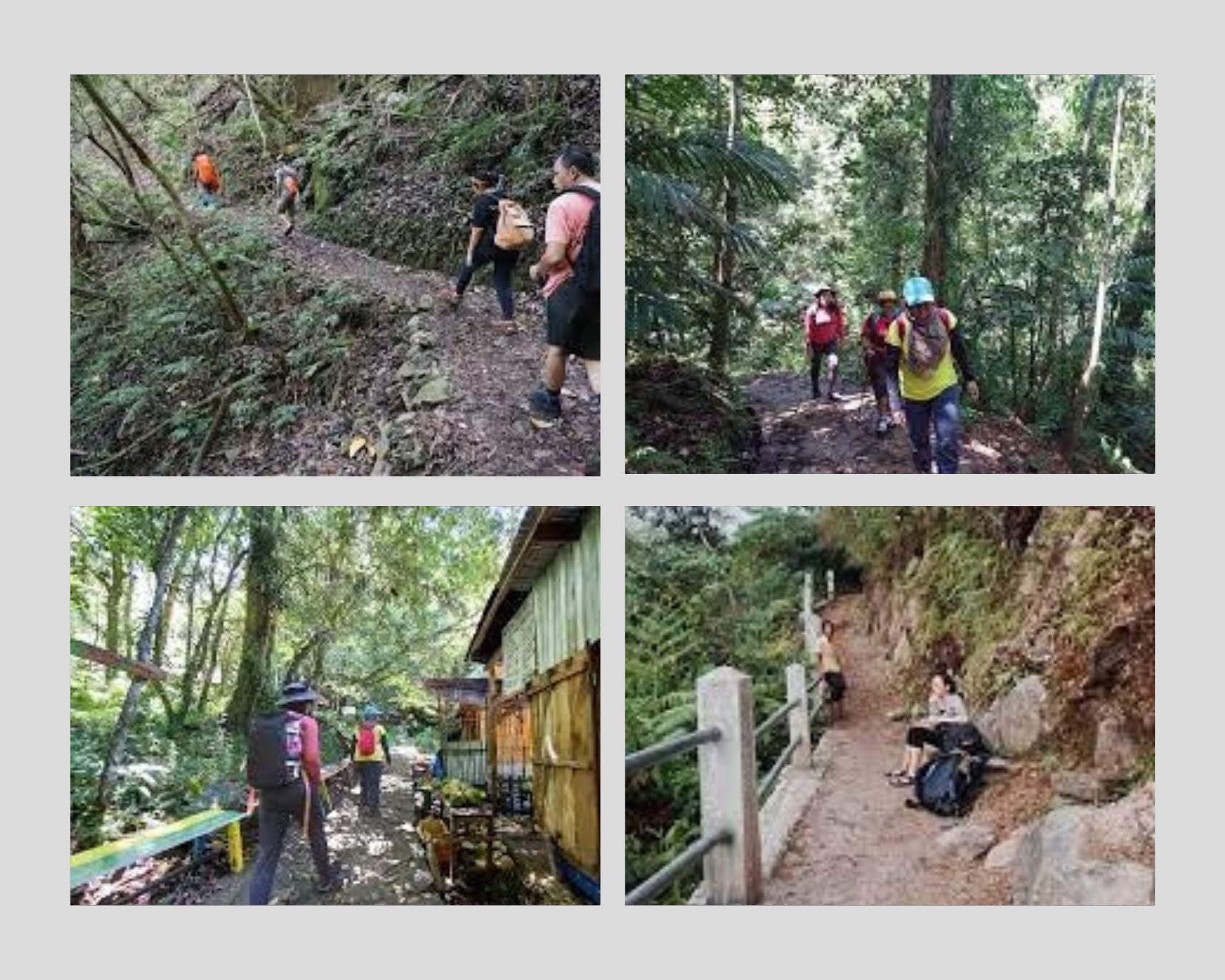suasana perjalanan seru dan menantang menuju desa adat Wae Rebo, yang hanya bisa dicapai dengan berjalan kaki melewati jalur hutan dan pegunungan.