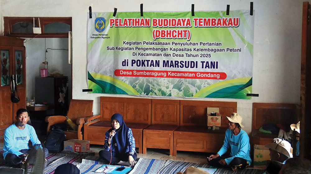 MANFAATKAN DBHCHT 2025: Dinas Pertanian Kabupaetn Nganjuk menggelar pelatihan budidaya tembakau di Poktan Marsudi Tani.