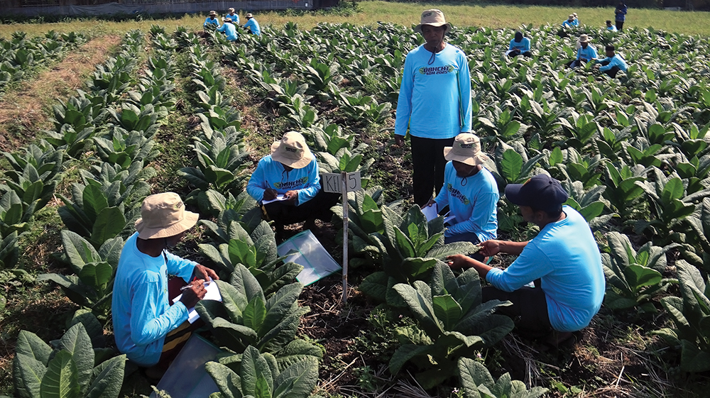 Petani langsung praktik di sawah.