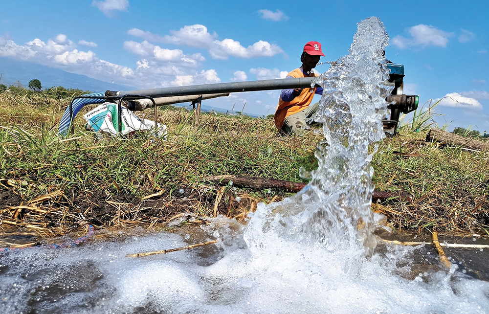 BIAYA BESAR: Petani jagung di Pace harus menggunakan diesel untuk mengairi sawah kemarin. Tanaman jagung yang masih muda akan mati kekeringan jika tidak disiram.