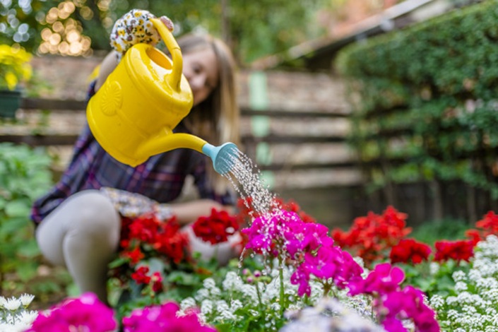 Young woman working in the garden. watering flowers in garden centre. Woman Watering Flower Garden Plants. woman taking care of her plants ( and watering them ) in her garden.