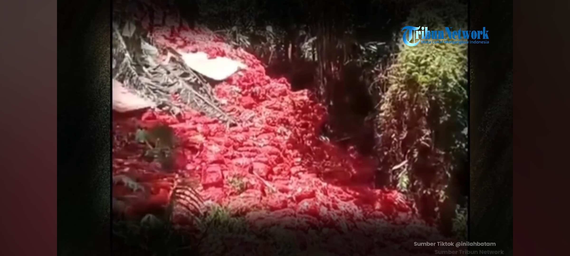 Hingga saat ini masih belum diketahui dari mana asal puluhan ton bawang merah dan bombai yang ditemukan di Batam