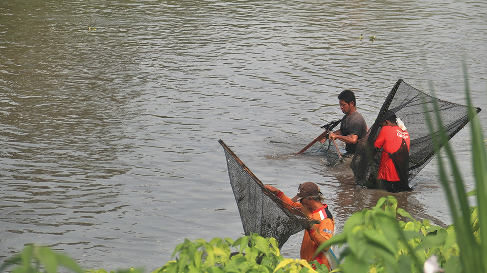 PLADU BADUK: Warga Nganjuk berebut mencari ikan di Bendungan Baduk, Kecamatan Tanjunganom kemarin. Pladu Baduk tahun ini lebih sepi karena debit sungai masih tinggi.